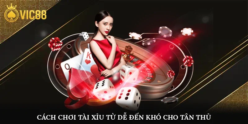 Cách chơi tài xỉu từ dễ đến khó cho tân thủ