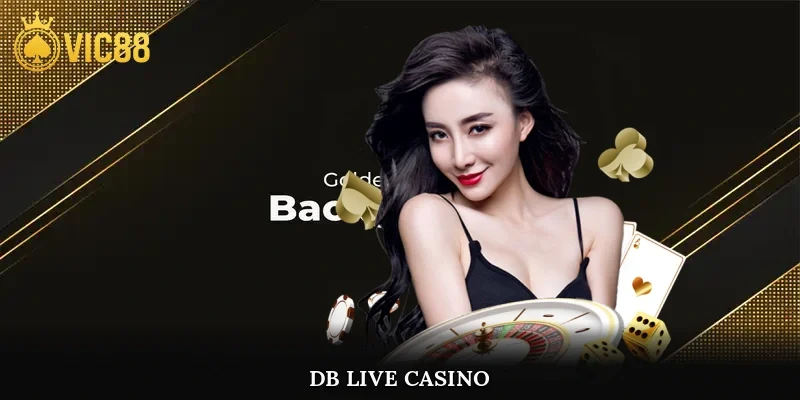 DB Live Casino